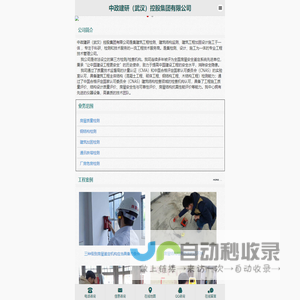中政建研（武汉）控股集团有限公司